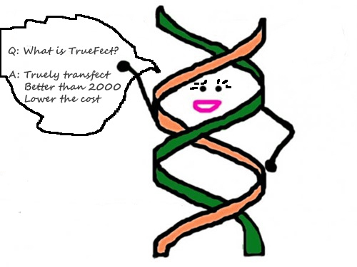Transfection